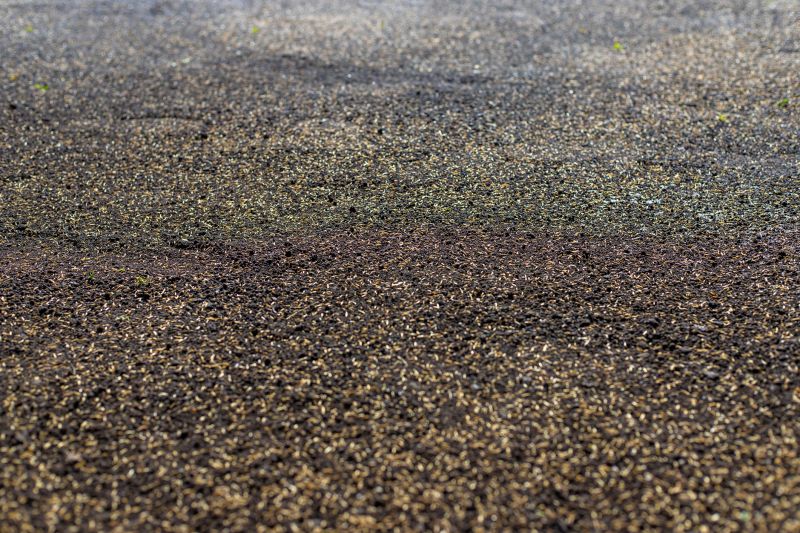 Commercial Lawn Seeding detail