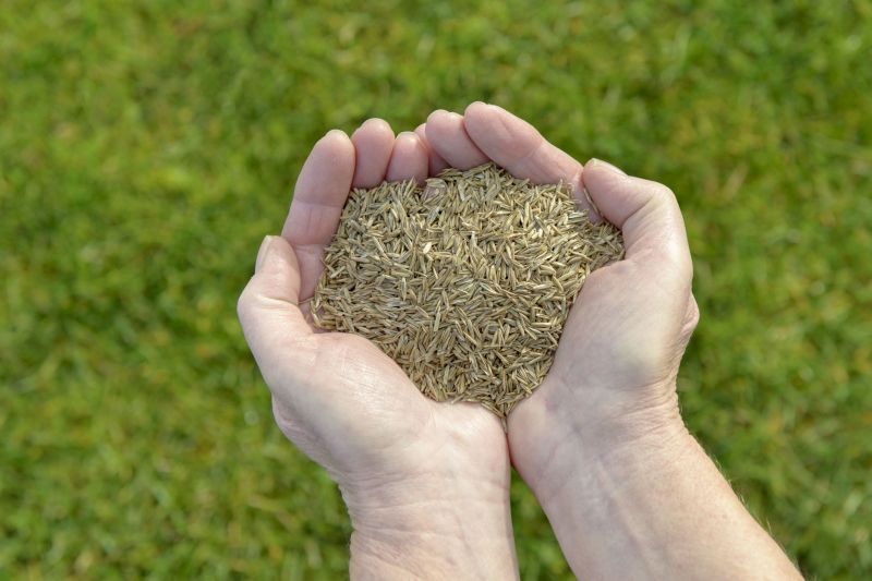 Grass Planting Service