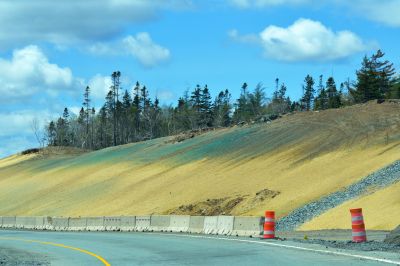 Slope Hydroseeding