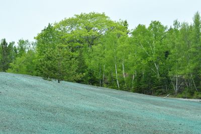 Slope Hydroseeding