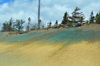 Slope Hydroseeding