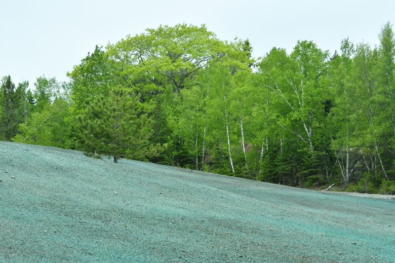 Slope Hydroseeding