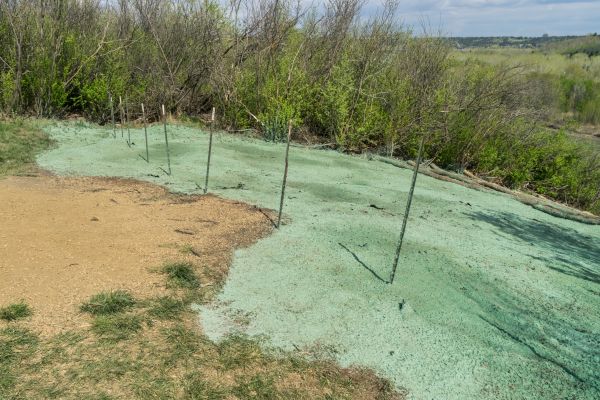 Lawn Reseeding Service in Akron