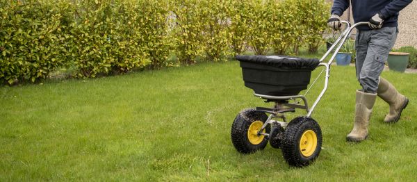 Fall Reseeding in Akron